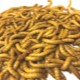 Mealworms